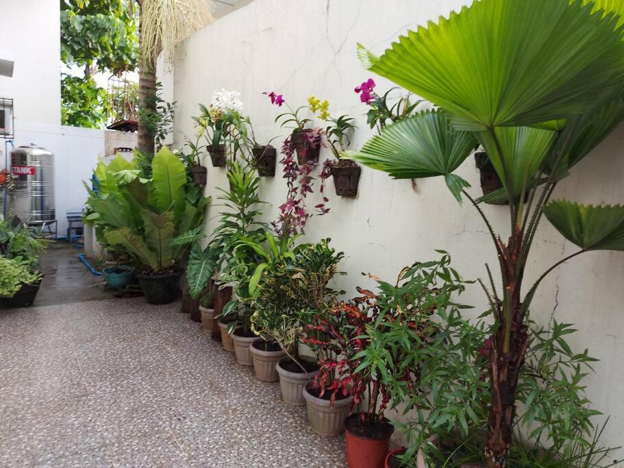 Home Away From Home. Bacolod Dış mekan fotoğraf